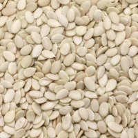 Watermelon Seeds Exporter