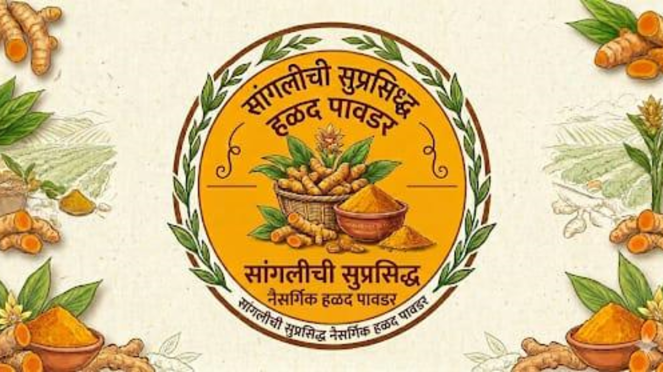 Nandlal Turmeric Powder 250g
