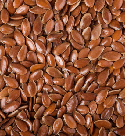 Flax Seeds Exporter